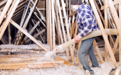 News 12 Choosing the Best Attic Insulation Service: A Comprehensive Guide